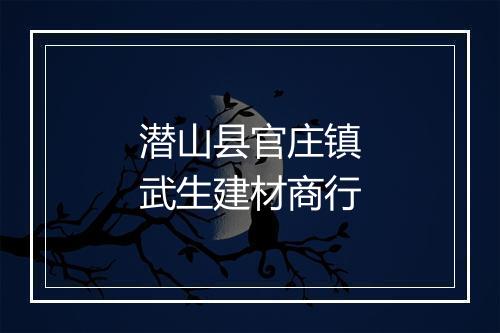 潜山县官庄镇武生建材商行