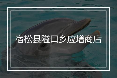 宿松县隘口乡应增商店