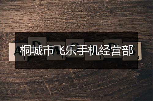 桐城市飞乐手机经营部