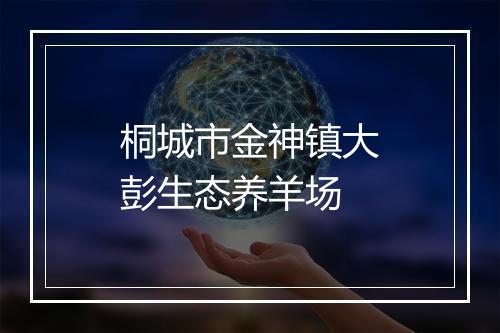 桐城市金神镇大彭生态养羊场