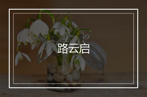 路云启