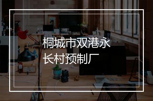 桐城市双港永长村预制厂