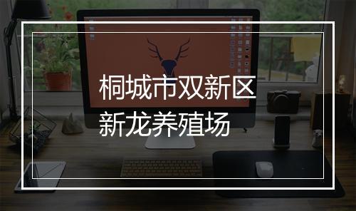 桐城市双新区新龙养殖场