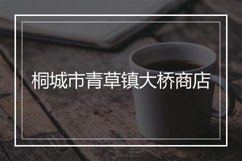 桐城市青草镇大桥商店