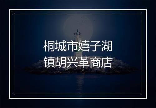 桐城市嬉子湖镇胡兴革商店