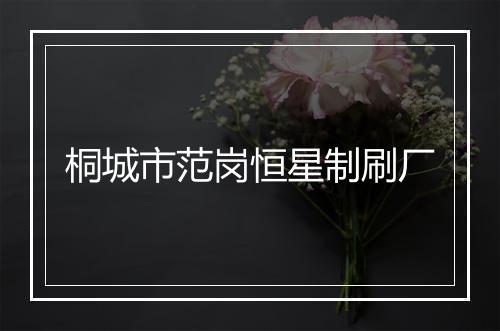 桐城市范岗恒星制刷厂