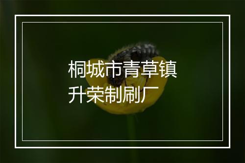 桐城市青草镇升荣制刷厂