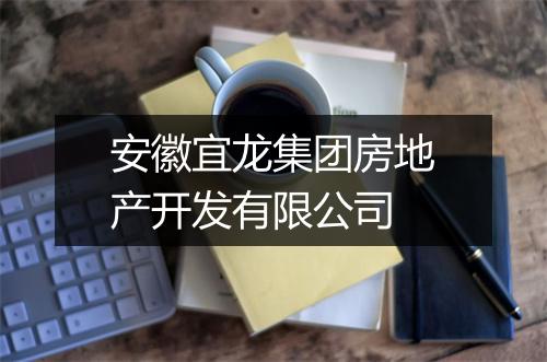 安徽宜龙集团房地产开发有限公司