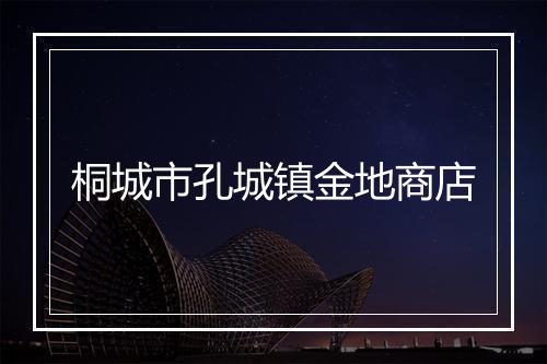 桐城市孔城镇金地商店