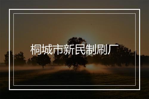 桐城市新民制刷厂