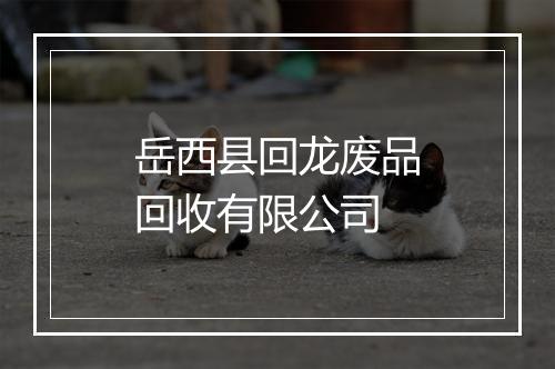 岳西县回龙废品回收有限公司