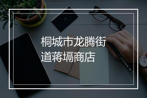 桐城市龙腾街道蒋塥商店