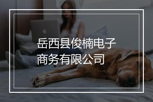 岳西县俊楠电子商务有限公司