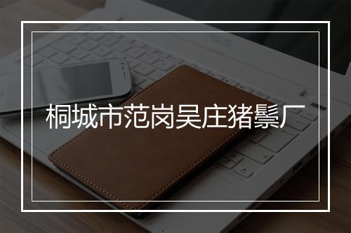 桐城市范岗吴庄猪鬃厂