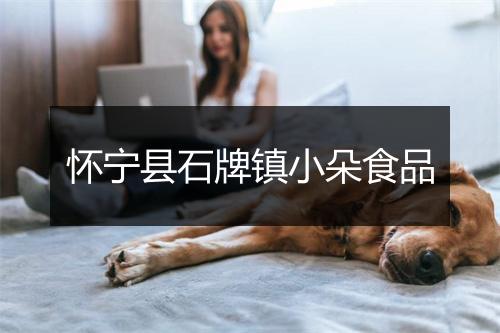 怀宁县石牌镇小朵食品