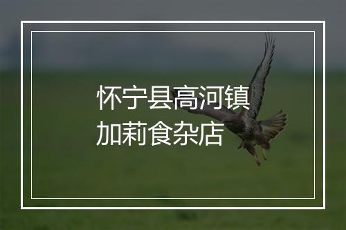 怀宁县高河镇加莉食杂店