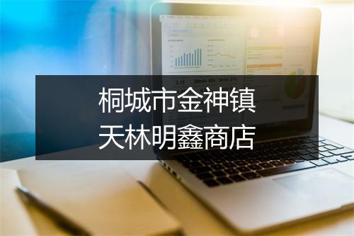 桐城市金神镇天林明鑫商店