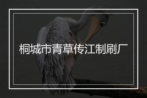 桐城市青草传江制刷厂