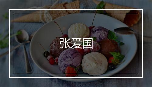 张爱国