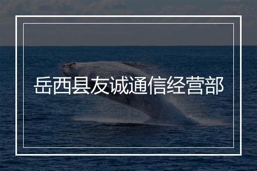 岳西县友诚通信经营部