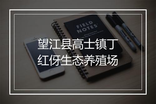 望江县高士镇丁红伢生态养殖场
