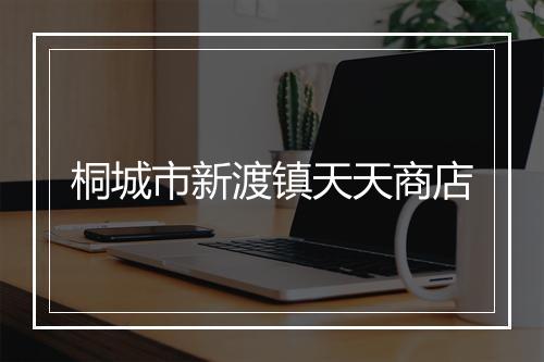 桐城市新渡镇天天商店