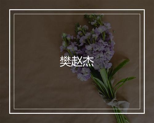 樊赵杰