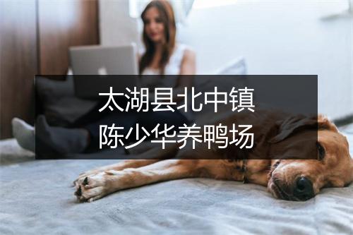 太湖县北中镇陈少华养鸭场