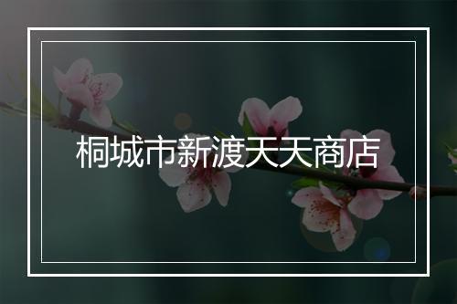 桐城市新渡天天商店