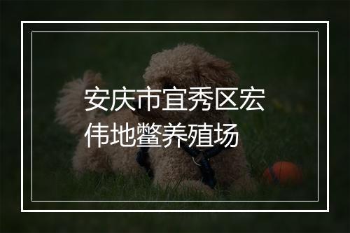 安庆市宜秀区宏伟地鳖养殖场