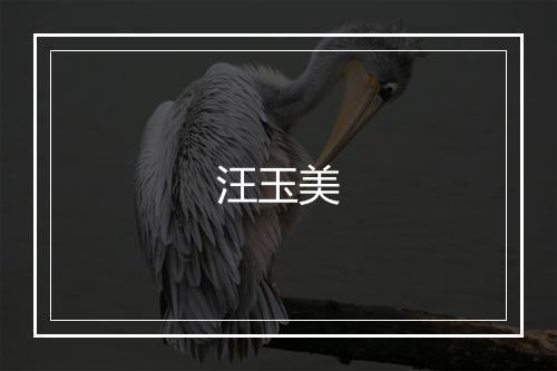 汪玉美