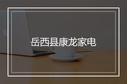 岳西县康龙家电