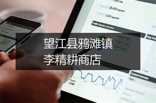 望江县鸦滩镇李精耕商店
