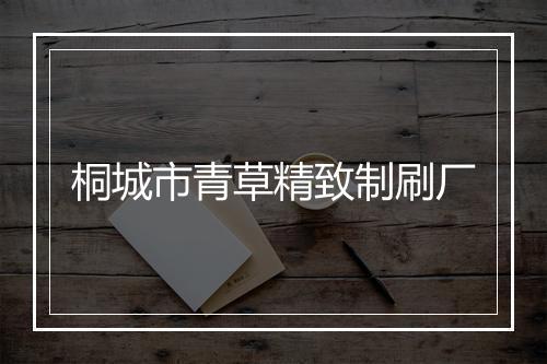 桐城市青草精致制刷厂