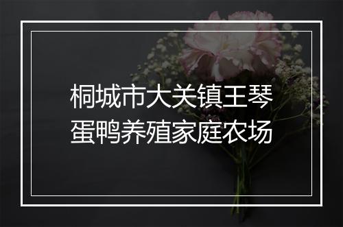 桐城市大关镇王琴蛋鸭养殖家庭农场