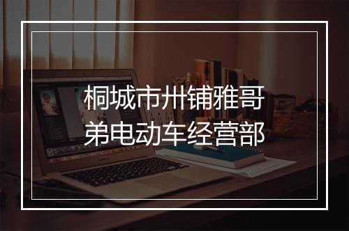 桐城市卅铺雅哥弟电动车经营部