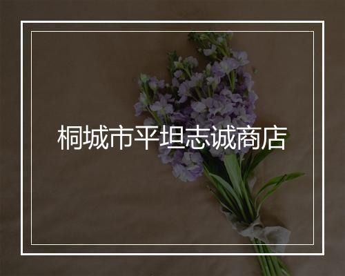 桐城市平坦志诚商店