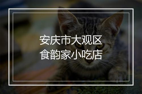 安庆市大观区食韵家小吃店