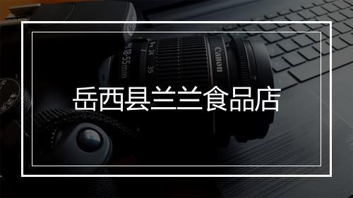 岳西县兰兰食品店