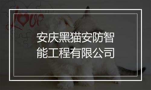 安庆黑猫安防智能工程有限公司