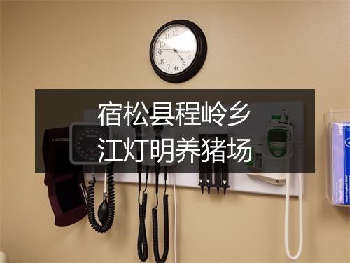 宿松县程岭乡江灯明养猪场