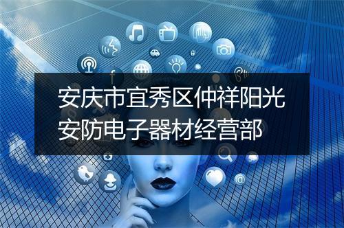 安庆市宜秀区仲祥阳光安防电子器材经营部