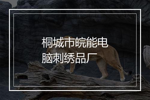 桐城市皖能电脑刺绣品厂