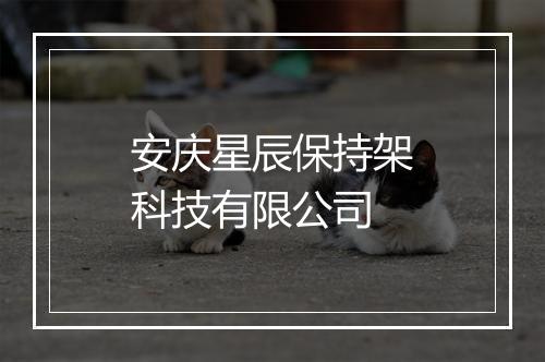 安庆星辰保持架科技有限公司