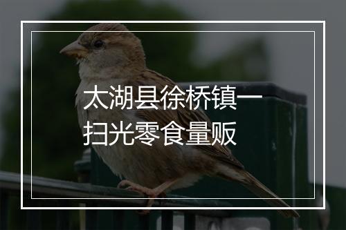 太湖县徐桥镇一扫光零食量贩