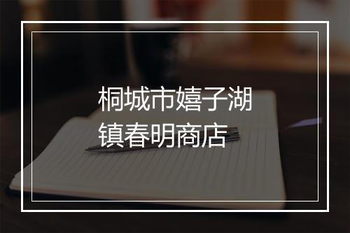 桐城市嬉子湖镇春明商店