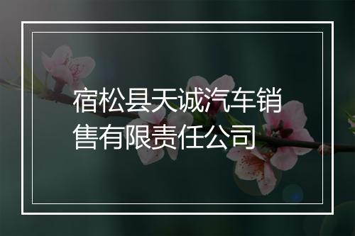 宿松县天诚汽车销售有限责任公司