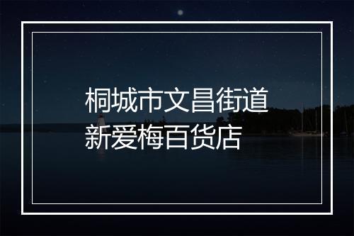 桐城市文昌街道新爱梅百货店