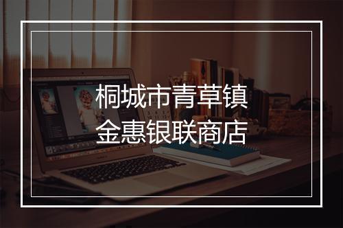 桐城市青草镇金惠银联商店