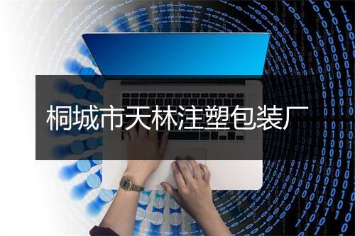 桐城市天林注塑包装厂